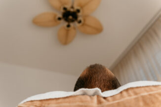 Entspannungsmassage mit Lomi Lomi Nui